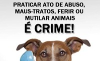 Dia Municipal de Proteção e Bem-Estar dos Animais no Município de Cambuquira