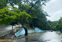 Impacto de veículos pesados no entorno do Parque gera debate