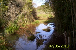 Iniciados os trabalhos de dragagem no município