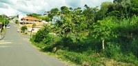 Limpeza de terrenos no Bairro Marimbeiro