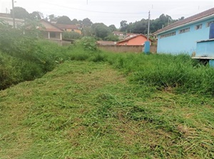 Limpeza do Bairro da Figueira