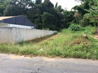 Vereador pede capina e limpeza no entorno da Creche Pro Infância