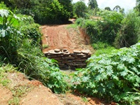 Vereador questiona construção de ponte