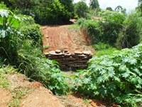 Vereador questiona construção de ponte