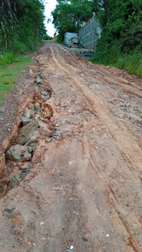 Vereador requer informações sobre pavimentação de ruas