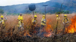 Vereador solicita criação de Brigada de Incêndio