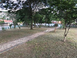 Vereador solicita limpeza de praça