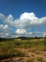 Vereador solicita limpeza de terrenos no Bairro do Congonhal