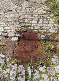 Vereador solicita reparos em diversas ruas do município